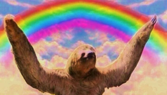 rainbow-sloth